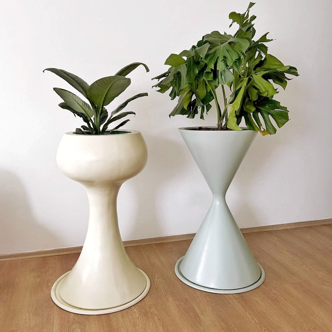 Trompeta